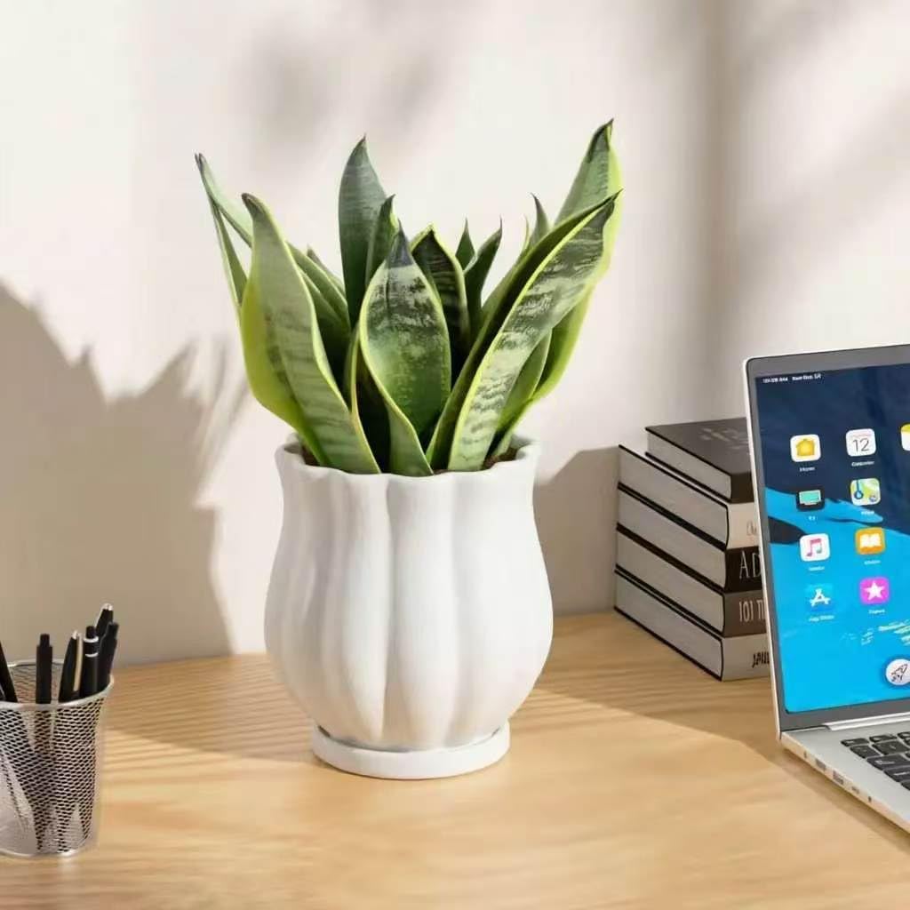5.8" Matte White Ceramic Plant Pot with Saucer | 5.8 x 5.8 x 6.6 Inches | With Drainage Hole | Suitable For Indoor and