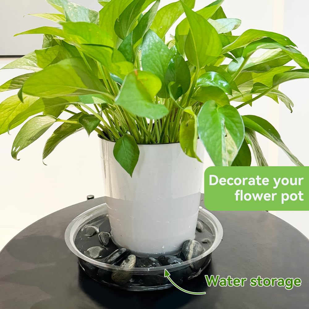 100 Pcs 6 Inch Clear Plant Saucers Bulk, Plastic Plant Saucer | Durable Plant Pot Saucers, Plant Drip Trays Used for