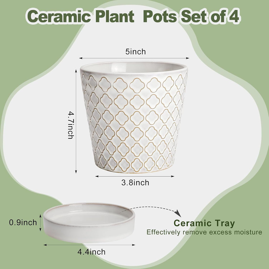 EFISPSS Ceramic Plant Pots Indoor, 5 Inch Planters with Drainage Holes and Ceramic Tray, Relief Design Flower Planter