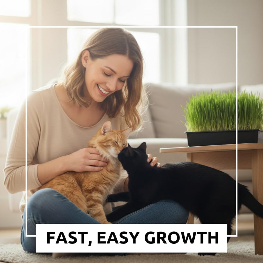 Cat Grass Seeds for Growing | 4 Way Blend, Rye, Wheat, Oats and Barley | Made in USA | Safe Non-GMO Pet Grass for Cats