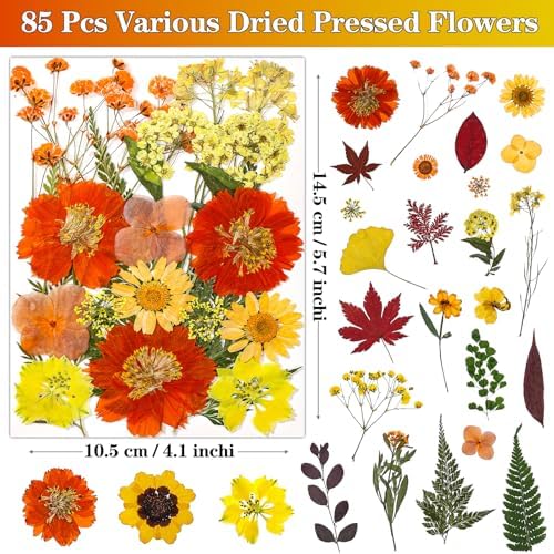 85Pcs Dried Flowers for Crafts, Natural Pressed Flowers for Crafts Real Dried Pressed Flowers Dry Leaves in Orange & Yellow for Resin, DIY Art, Scrapbook, Jewelry, Candle & Soap Making w/ Tweezer