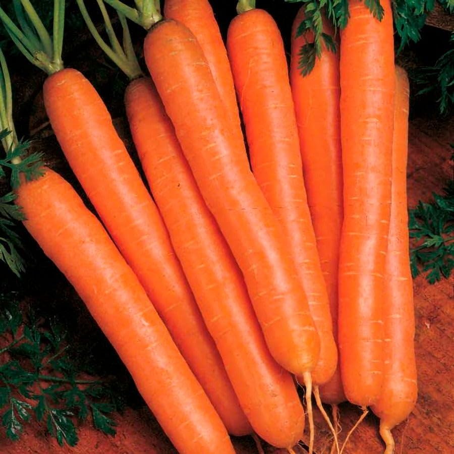 Park Seed Stir Fry Vegetable Seed Collection – Non-GMO Garden Kit with Broccoli, Snap Peas, Carrots, Sweet Peppers &
