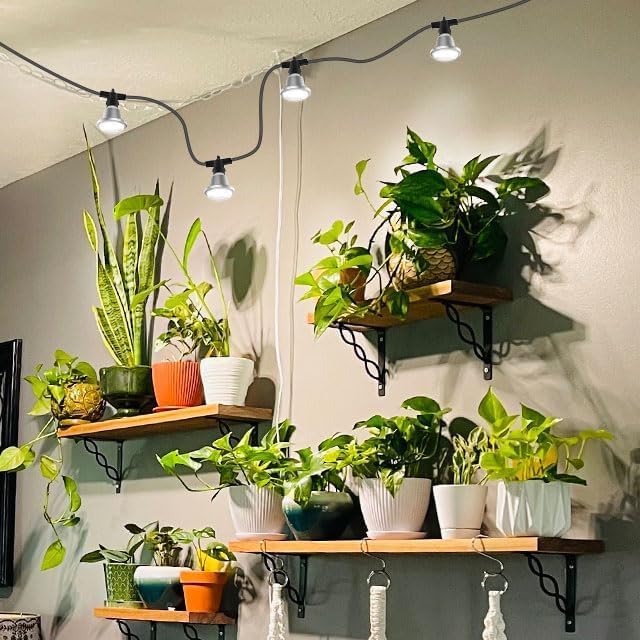 SANSI Hanging Grow Light for Indoor Outdoor Plants, 72W IP65 Waterproof | 6 LED Bulbs, Hooks Included, Optical Lens