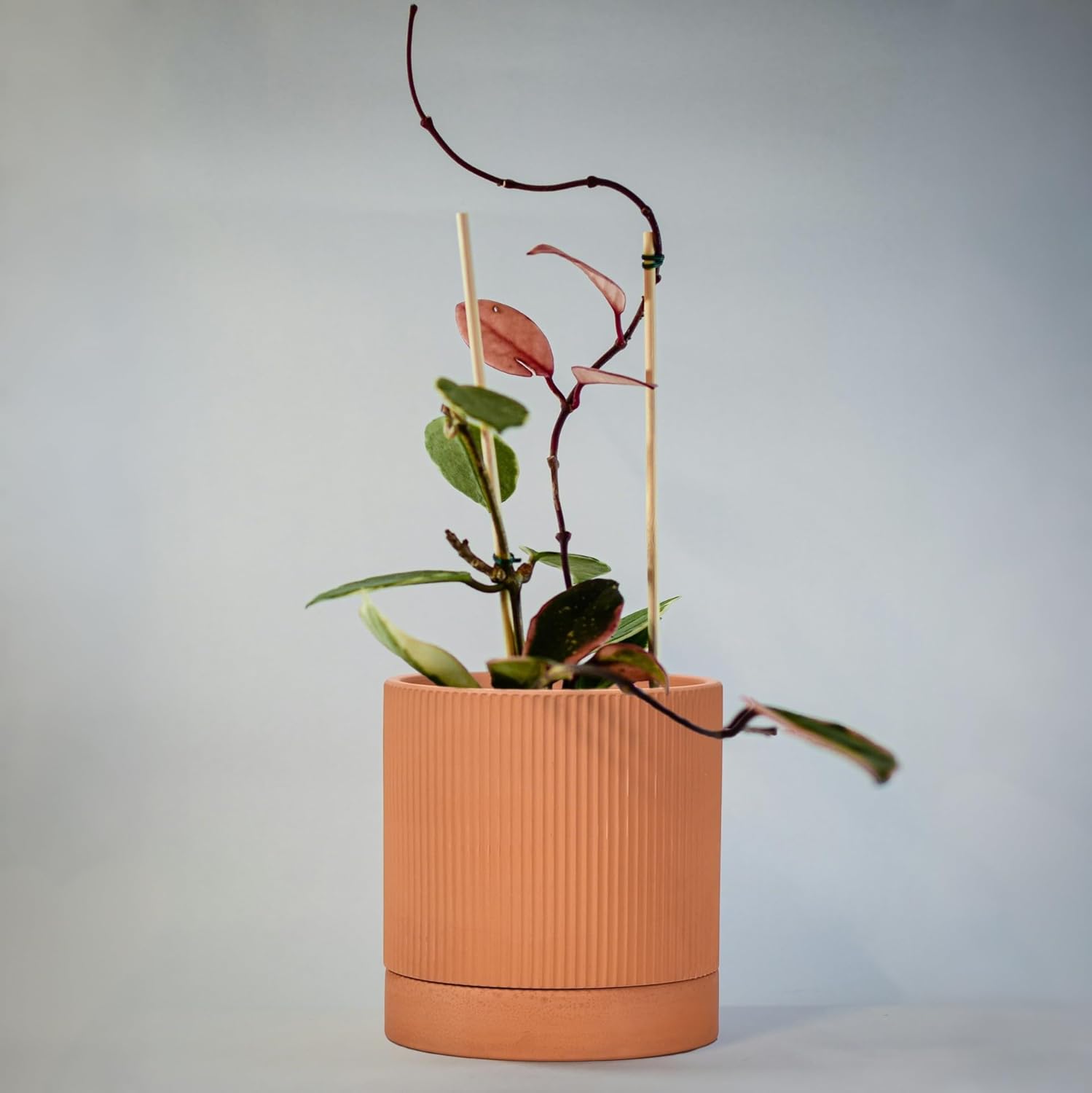 HERDUK Small Modern Terracotta Pots, 4.2 Inch Ribbed Textured Clay Planter Pots with Drainage Hole & Saucer, Garden