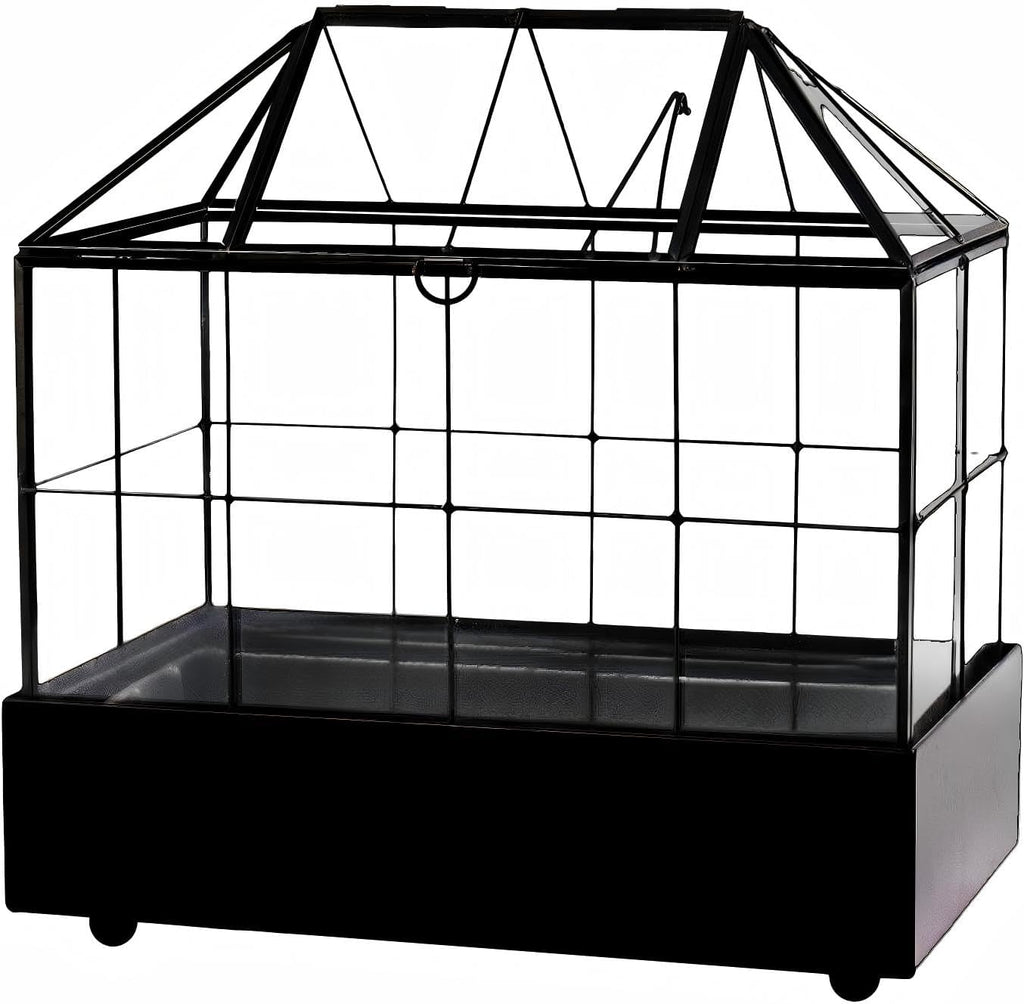 Large Tall Plant Terrarium Glass – Glass Greenhouse Terrarium with Lid and Tray,Indoor Tabletop Orchid Succulent Cacti