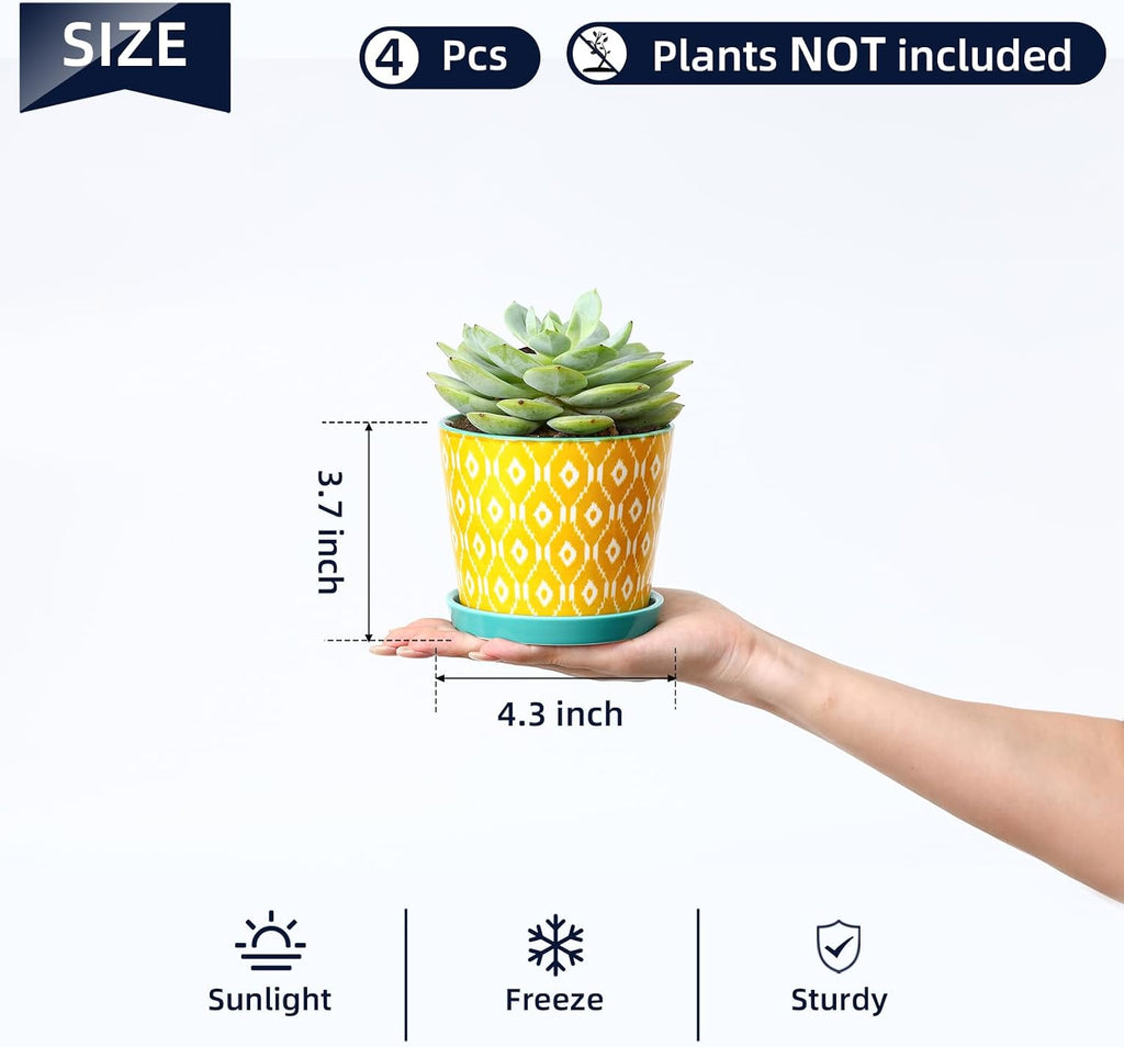 Selamica Ceramic Succulent Pots, 4.3 Inch Small Plant Pots with Drainage Holes and Saucers, Small Flower Pots for