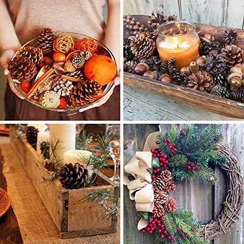 Supla 30 Pcs Christmas Hanging Real Preserved Pine Cones Ornaments 2"-3" Tall Christmas Tree Hanging Pinecone Ornaments