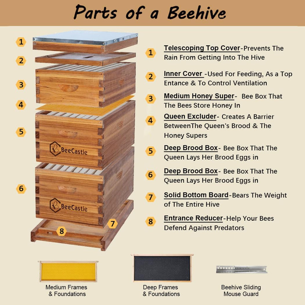 BeeCastle 8 Frame Langstroth Bee Hive Coated with Beeswax Includes Beehive Frames and Waxed Foundations (2 Deep Boxes &