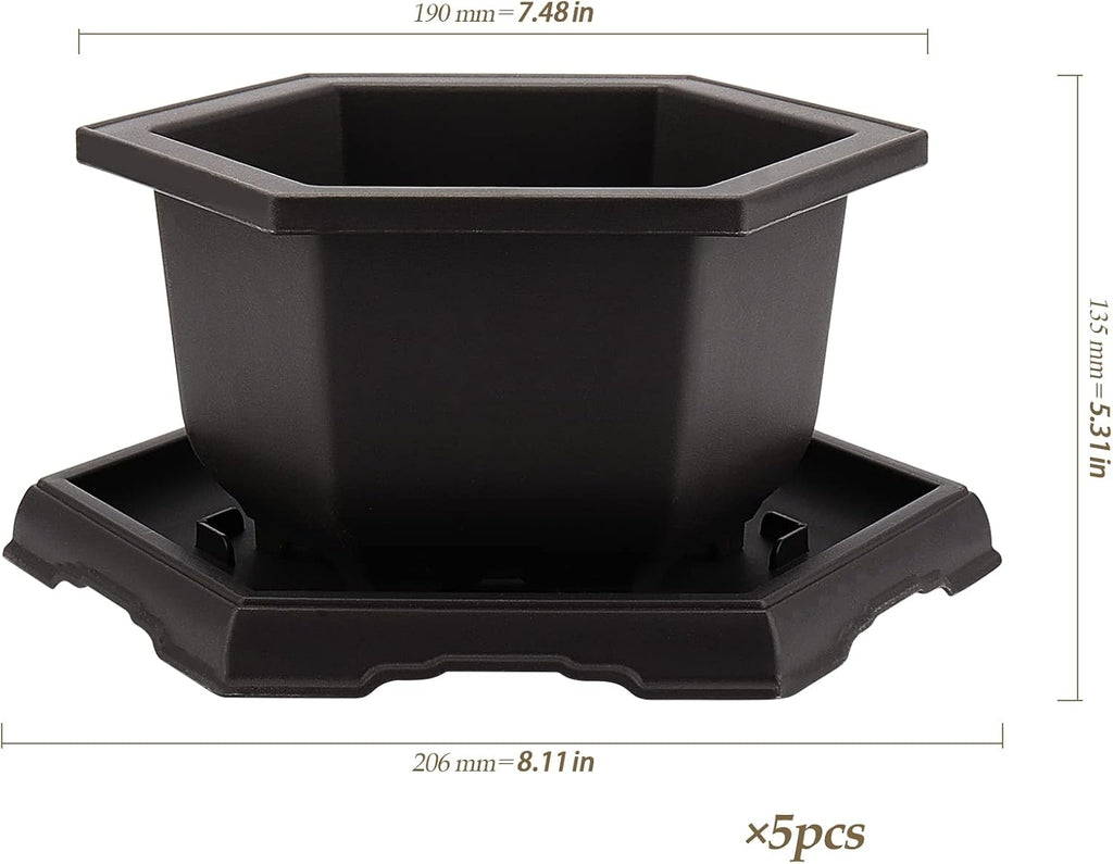 5 Pack Bonsai Pots, Hexagon Built in Mesh Plastic Bonsai Training Pots with Trays, Plant Flower Tree Growing Bonsai