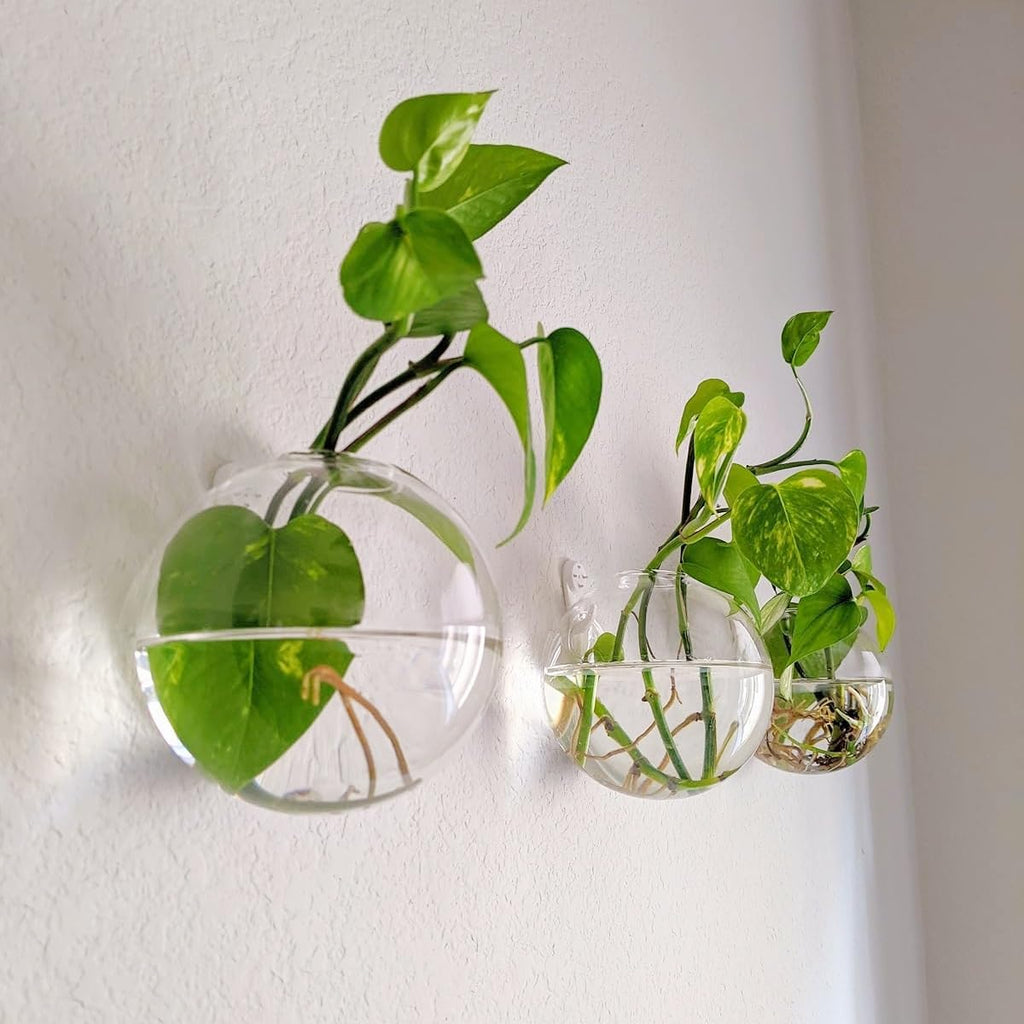 Hanging Wall Planters Pack of 6 Glass Plant Pots Round Wall Vases for Flowers Hanging Propagation Station Glass Plant