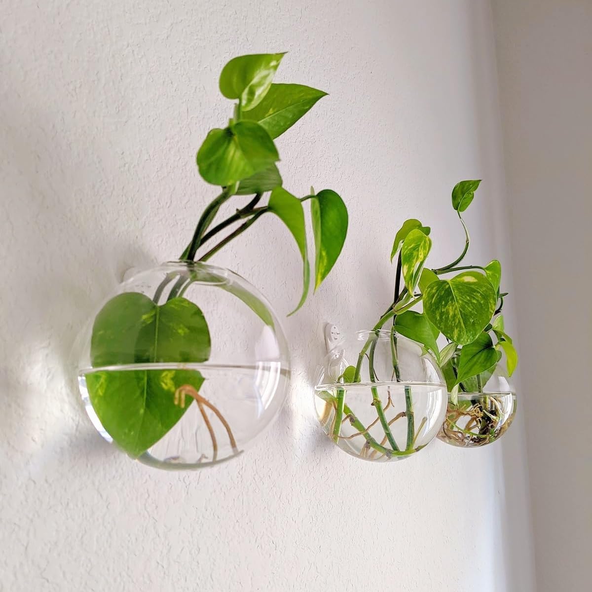 Hanging Wall Planters Pack of 6 Glass Plant Pots Round Wall Vases for Flowers Hanging Propagation Station Glass Plant