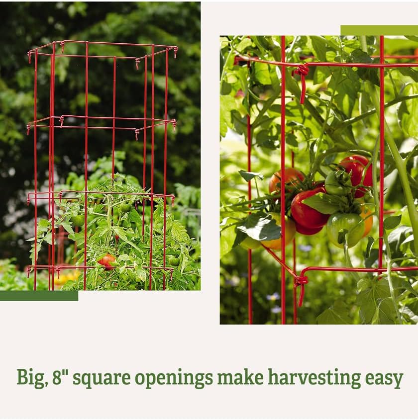 Gardener's Supply Company Lifetime Tomato Cages, Green, Set of 4