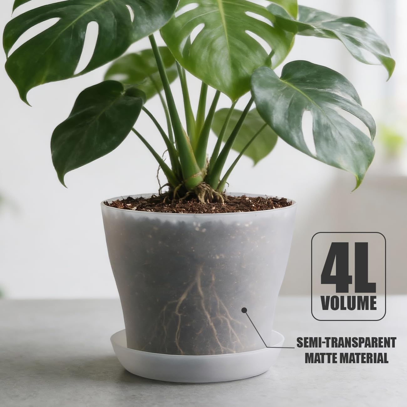 6 Pack 8 Inch Clear Nursery Plant Pots with Large Drainage Holes &Saucer | Plastic Translucent Flower Pots - Durable