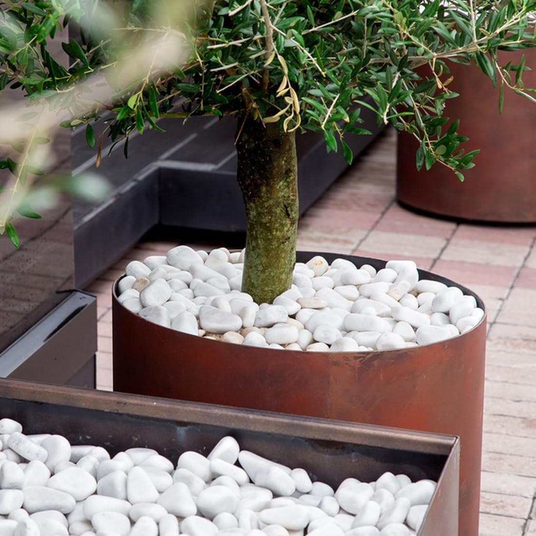 20lb White River Rocks for Landscaping, 2-3 Inch Natural Pebbles for Indoor Plants, Snow White Decorative Stones, Ideal
