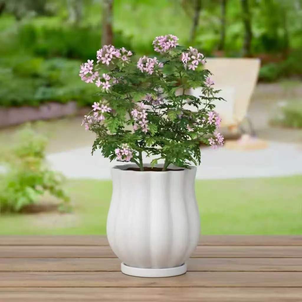 5.8" Matte White Ceramic Plant Pot with Saucer | 5.8 x 5.8 x 6.6 Inches | With Drainage Hole | Suitable For Indoor and