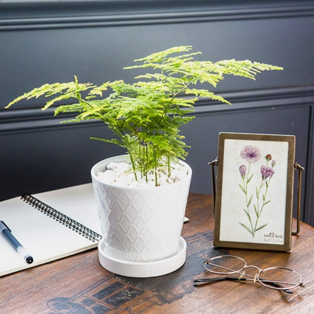 BUYMAX 5in Ceramic Flower Pots Set of 4 Plant Pot with Drainage Hole | 4 Unique Pattern Designs | Fits Most Indoor