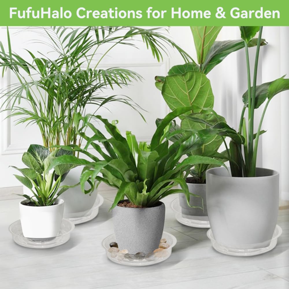 100 Pcs 6 Inch Clear Plant Saucers Bulk, Plastic Plant Saucer | Durable Plant Pot Saucers, Plant Drip Trays Used for