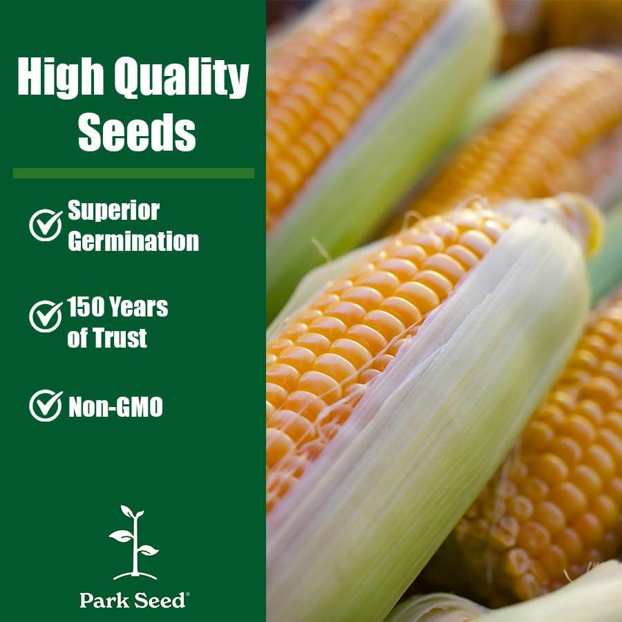 Park Seed 3 Sisters Collection – Grow Corn, Beans & Squash Together for Mutual Support, Includes Ambrosia Corn, Algarve