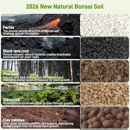 Avalution Bonsai Soil 3QT,Organic Bonsai Soil Mix