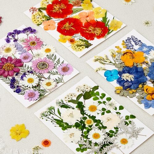 85Pcs Pressed Flowers for Crafts, Colorful Dried Flowers for Crafts Real Natural Dried Pressed Flowers Dry Leaves Bulk for Resin, DIY Art, Scrapbook, Jewelry, Card, Candle & Soap Making with Tweezers