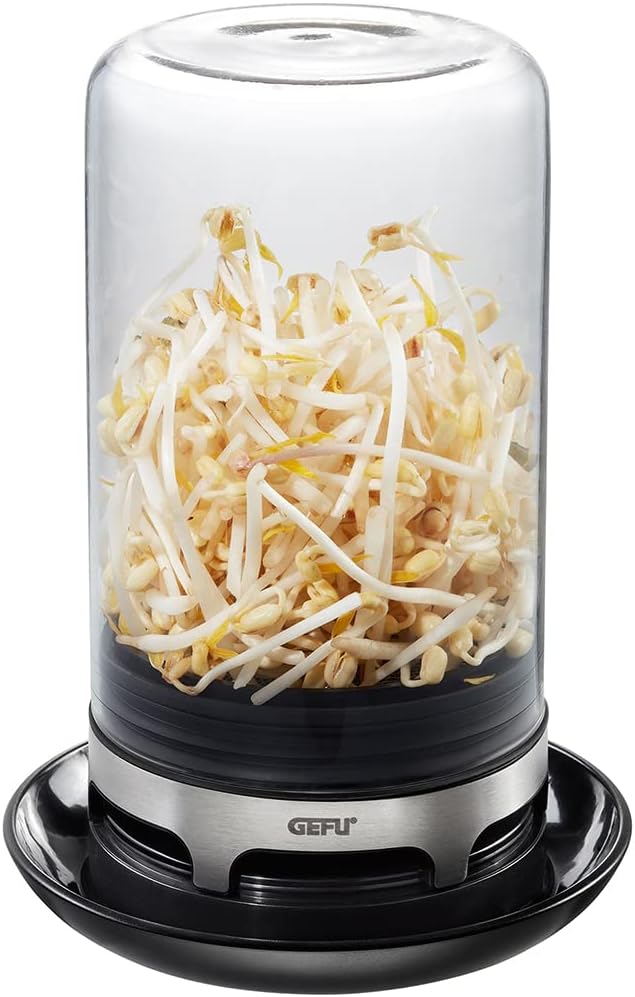SPROUTING JAR (Black)