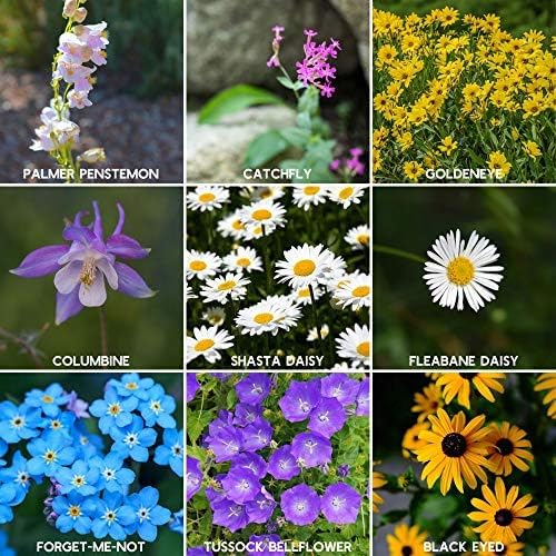 Mountain Valley Seed Co Rocky Mountain Wildflower Seeds Mix - 5 Lb Seed | Pouch - 22 Wildflower Seed Varieties