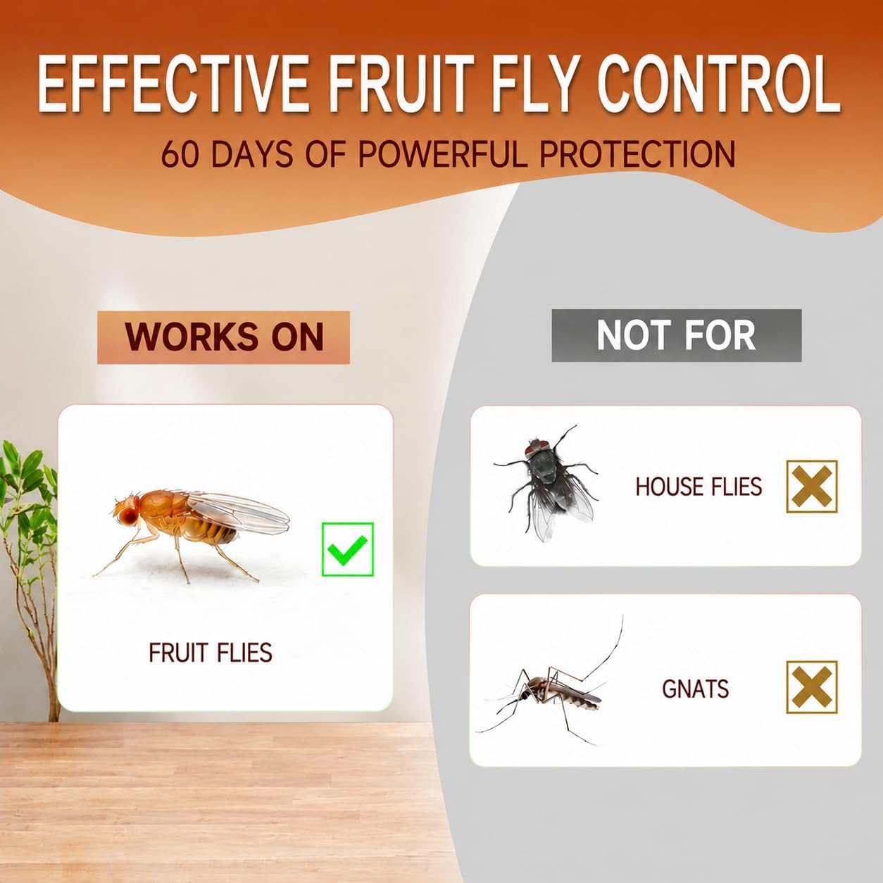 Fruit Fly Traps for Indoors: Fruit Fly and Drain Fly Traps Indoor - Reusable Escape-Proof Trap and Powerful Fruit-Based