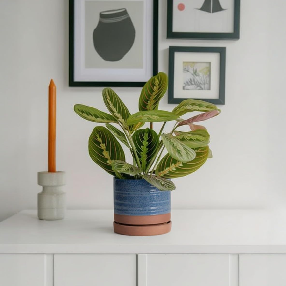 HERDUK 6 Inch Plant Pots, Ceramic Planter Pot with Drainage Hole & Saucer, Indoor/Outdoor Cylinder Round Planter Pot