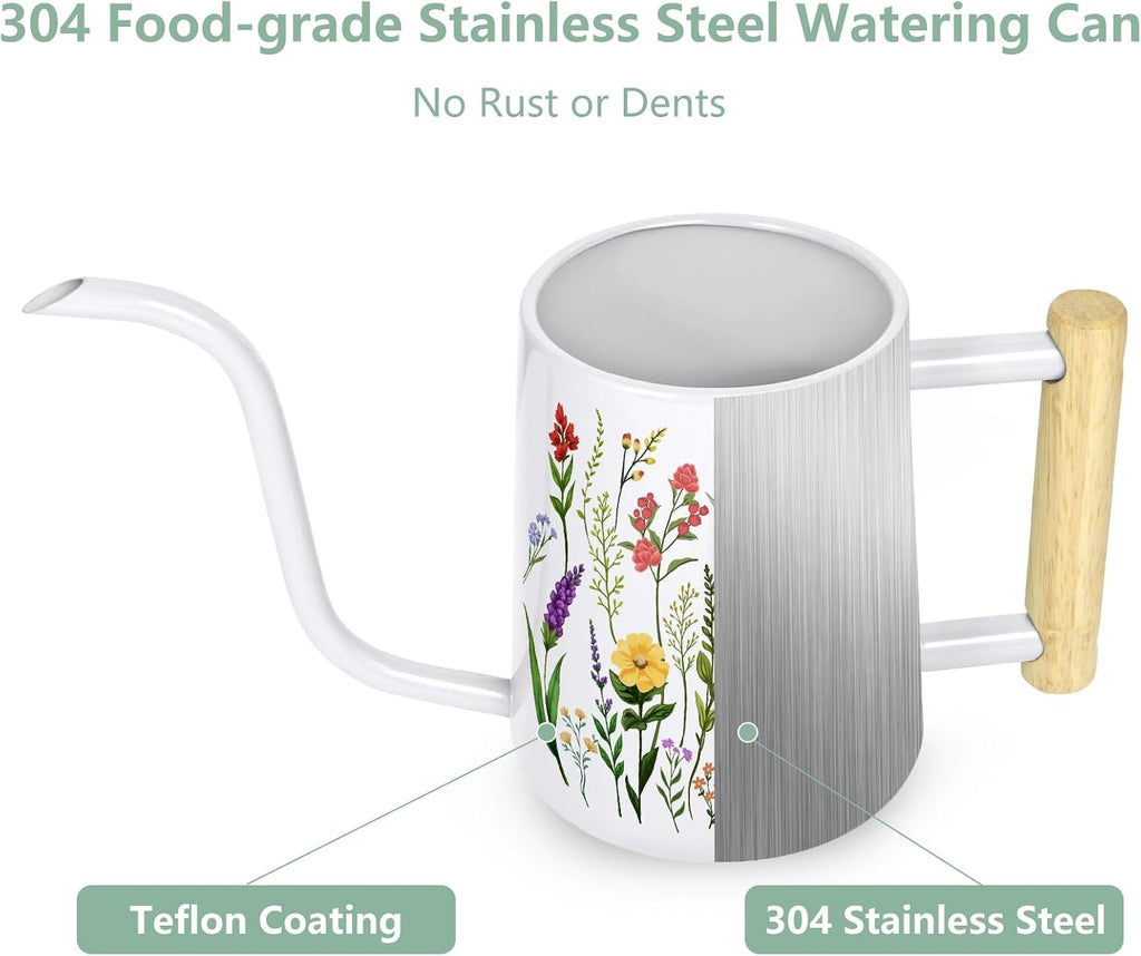 Watering Can Indoor Plants, 35 oz/1000 ml Metal Stainless Steel Watering Can Pot with Long Spout for Indoor House