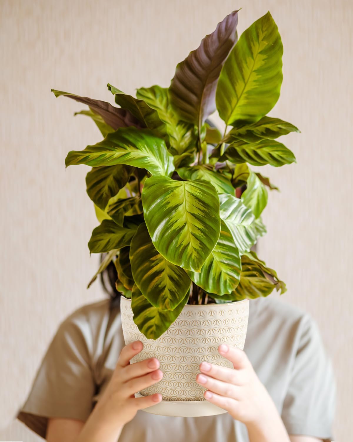 Plant Pots, Flower Pots, Planters for Indoor Plants(6.5+5.5inch), Flower Pots for Indoor Plant with Drainage Hole and