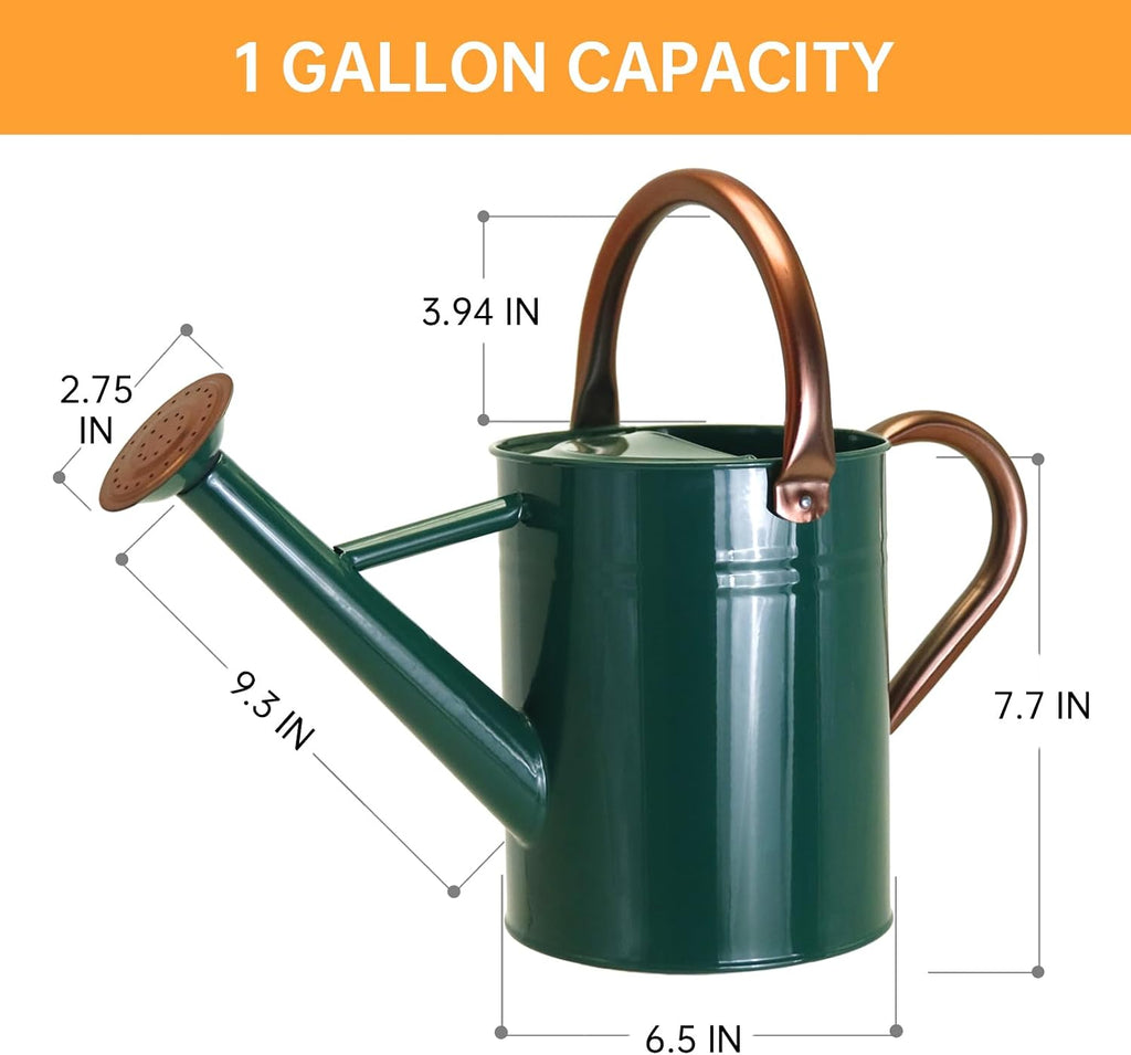 Metal Watering Can for Outdoor Plants, 1 Gallon Galvanized Steel Watering Can with Removable spout for Outdoor & Indoor