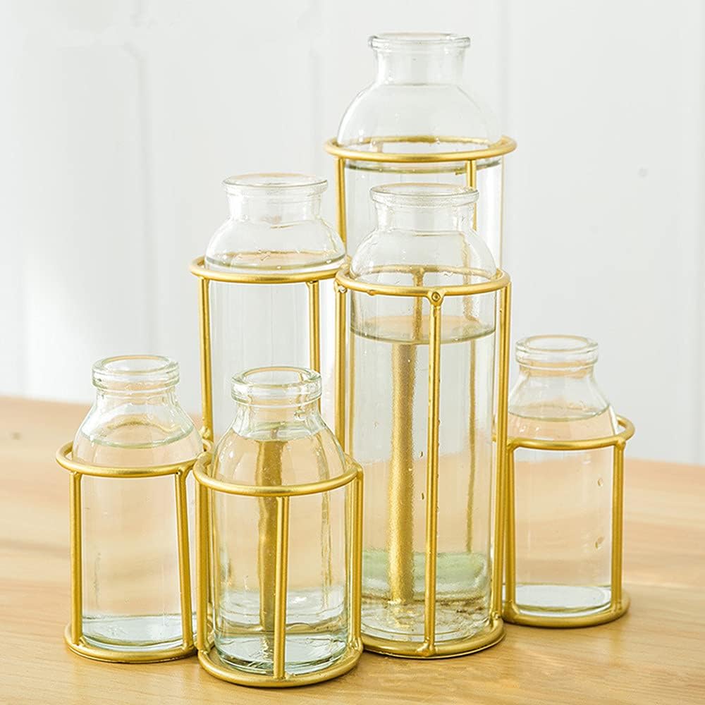 Flower Vases with 6 Bottle Crystal Clear Glass Flower Vase with Metal Stand Propagation Station Plant Display Holder