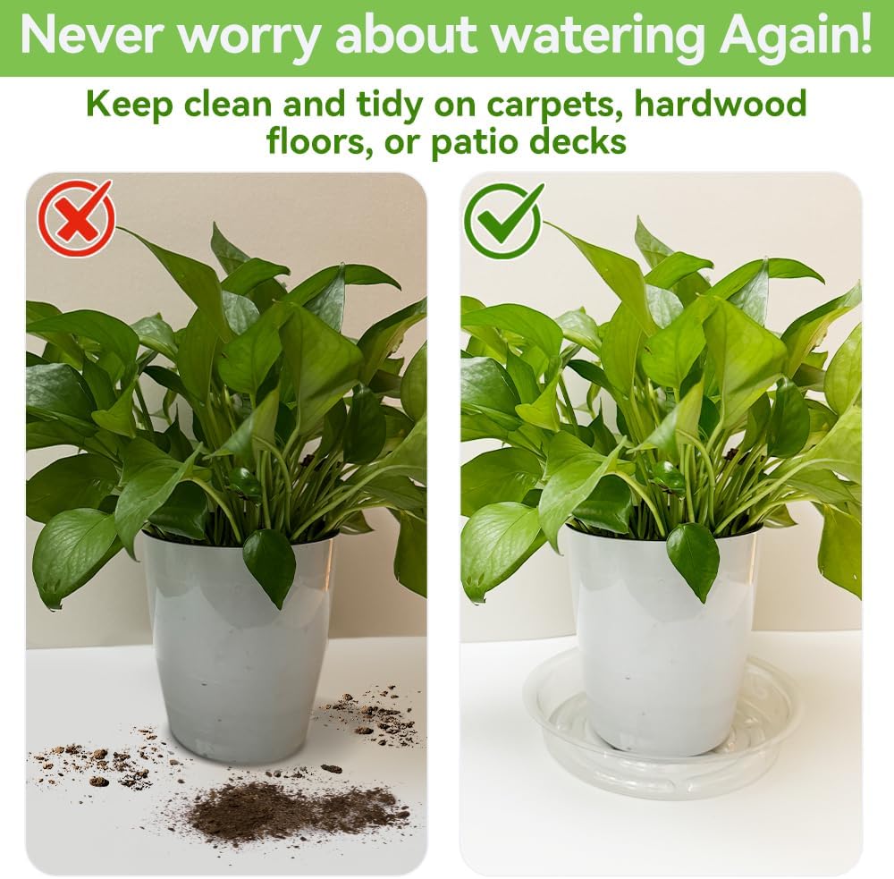 100 Pcs 6 Inch Clear Plant Saucers Bulk, Plastic Plant Saucer | Durable Plant Pot Saucers, Plant Drip Trays Used for