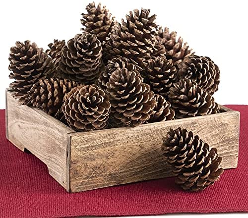 ANDALUCA Pinecone Vase & Bowl Fillers | Scented Pine Cones Decor (Natural)