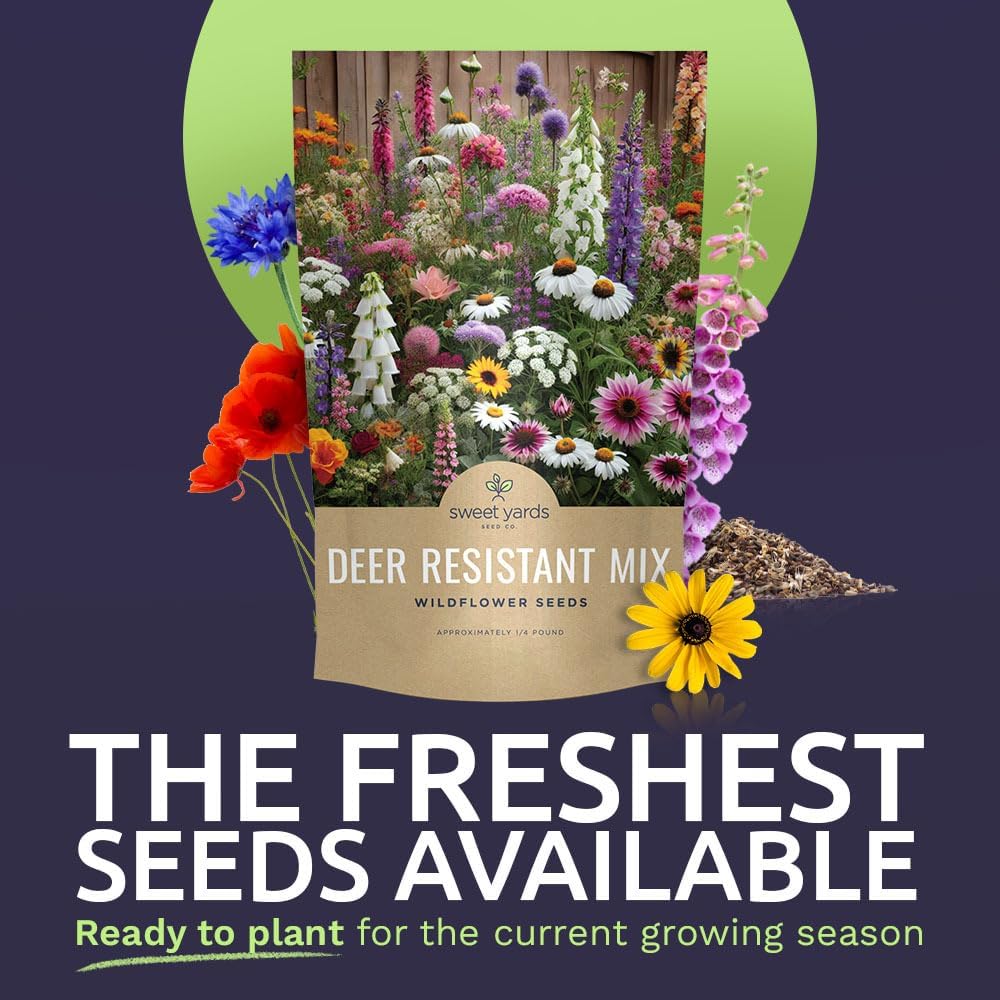 Deer Resistant Wildflower Seed Mixture - Bulk 1/4 Pound Bag - Over 60,000 Deer Tolerant Seeds - Open Pollinated and Non
