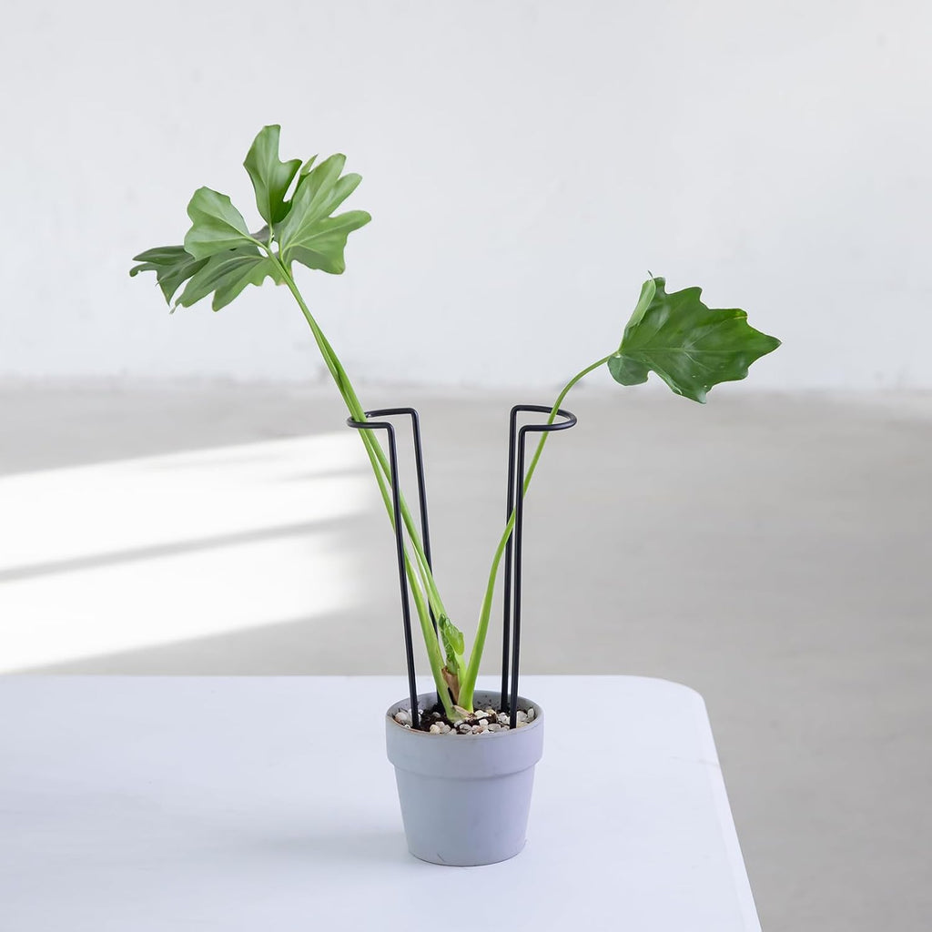 10Pcs Monstera Plant Support - 12" Durable Iron U-Shaped Trellis Stakes | Plant Support Structures & Stakes for Indoor
