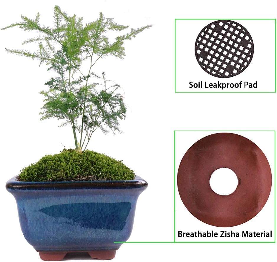 MUZHI 6PACK Glazed Bonsai Pot Planter 3" 4” Small Succulent Pots, Yixing Zisha Decorative Mame Bonsai Training Pot or