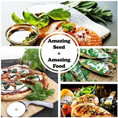 Sustainable Seed Co Culinary Herb Seeds Variety Pack – 10 Non-GMO | Herb Seeds for Indoor & Outdoor Gardens – Includes