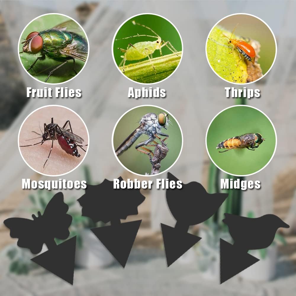 36 Pack Fungus Gnat Traps for House Plants, Sticky Traps for Indoor Outdoor Use to Get Rid of Whitefly Mosquitoes