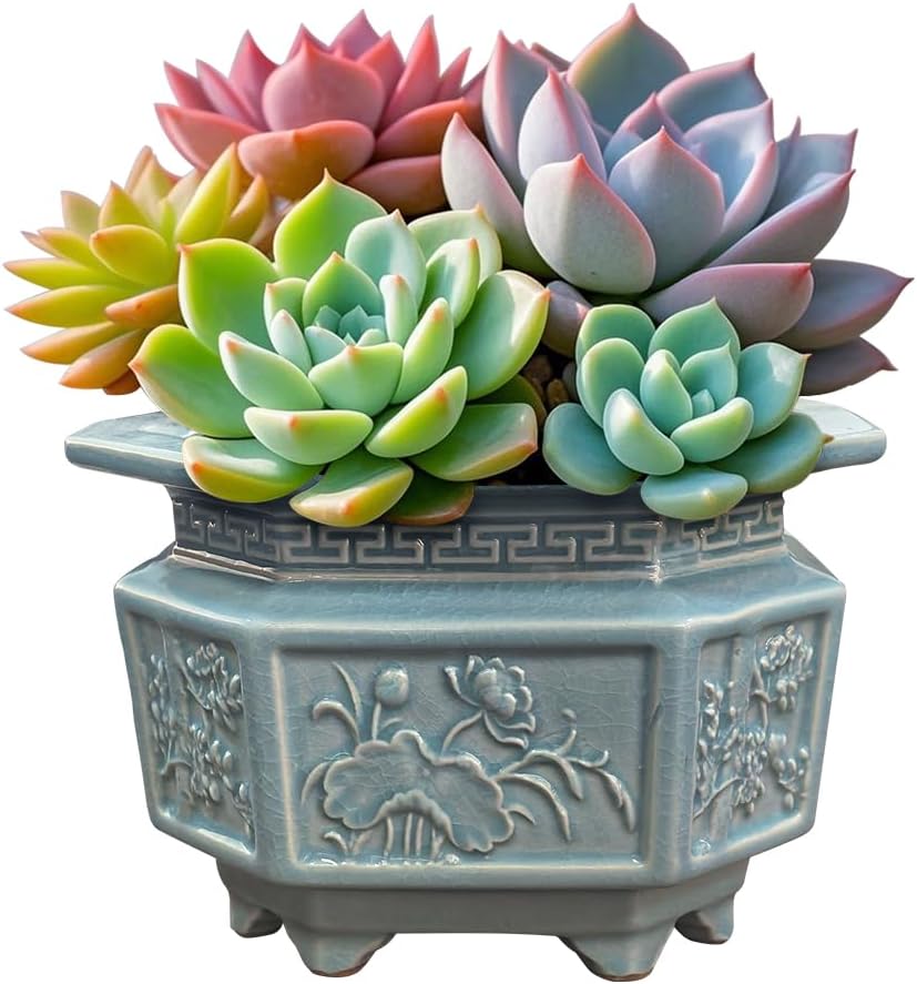 8-Inch Large Octagon Bonsai Pot Light Blue Water Glaze | Ceramic, Handmade,Ceramic Flower Pot, Handmade