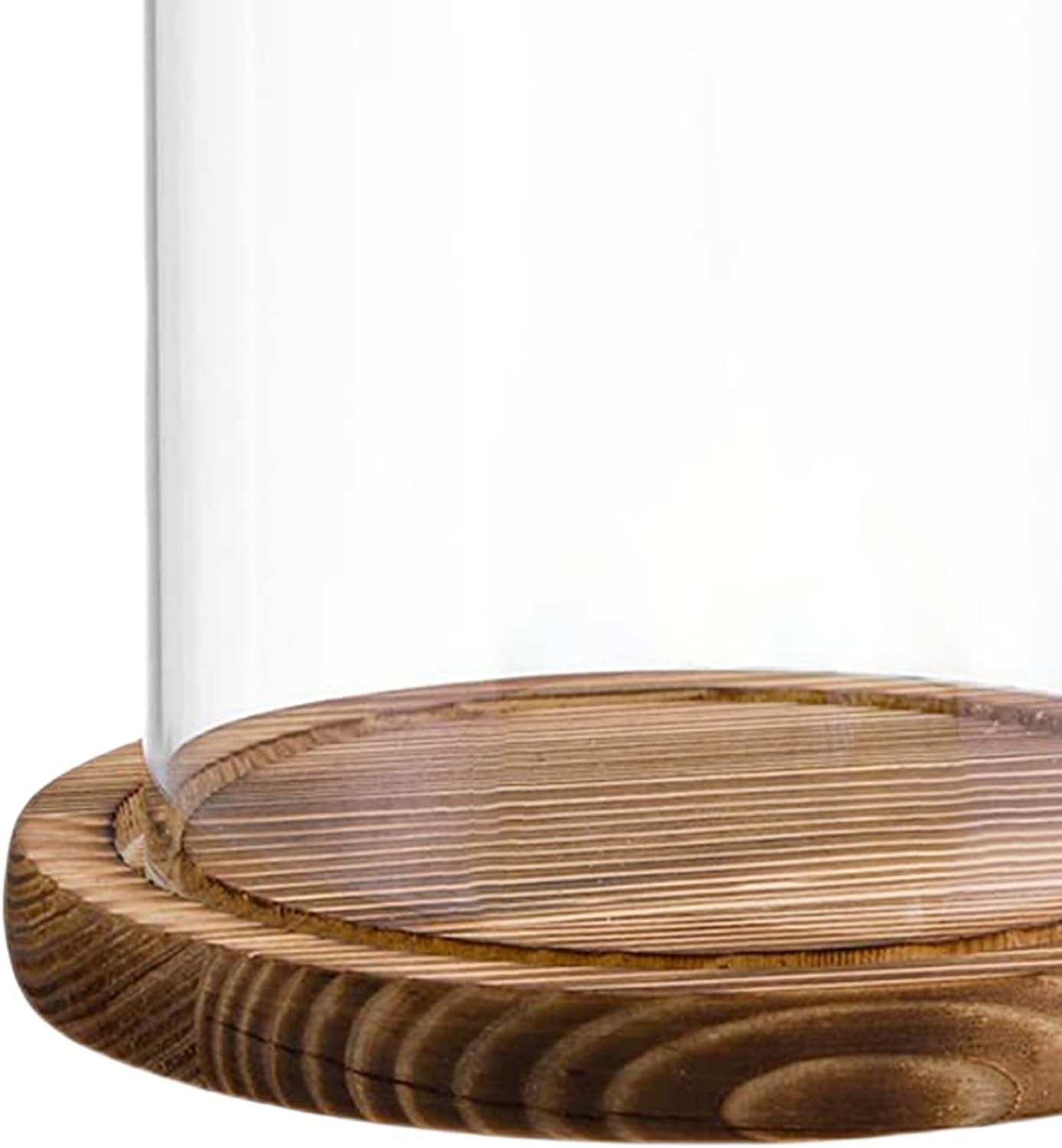 Glass Cloche Dome, 5 x 10 Inch | Glass Bell Jar with Wood Base, Clear Display Case for Flower, Plant,Fairy Lights