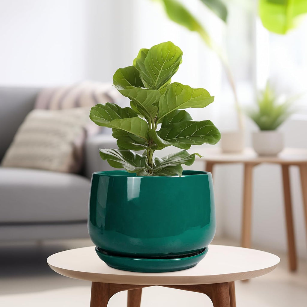 G EPGardening Ceramic Pots for Plants - 9 Inch Ceramic Planter for Indoor Plants, Round Planter with Drainage and