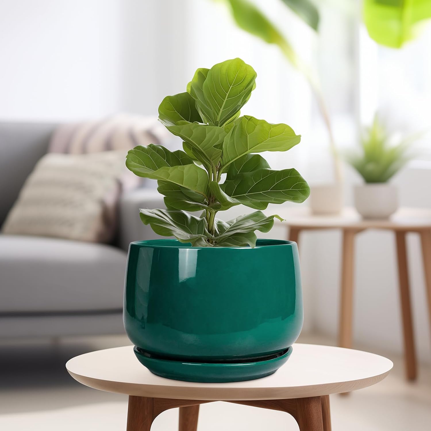 G EPGardening Ceramic Pots for Plants - 9 Inch Ceramic Planter for Indoor Plants, Round Planter with Drainage and