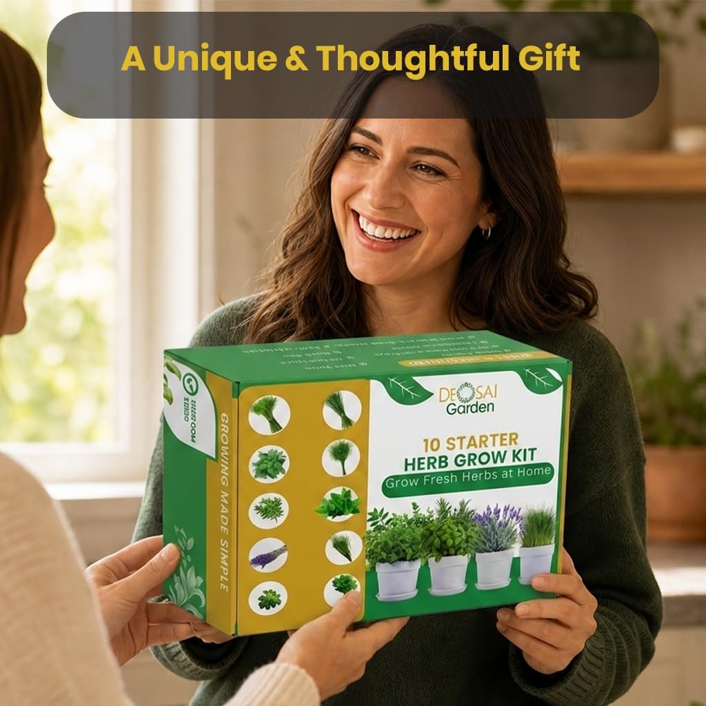 47 PCS Herb Garden Seeds Starter Kit, 10 Non-GMO Culinary Herb Seeds with White Pots & Planters for Windowsill, Herb