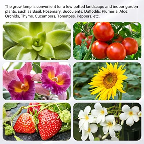 iPower 20W LED Grow Light Strips for Indoor Plants with Auto ON/Off 3/9/12H Timer 10 Dimmable Levels 48 LEDs Per Tube Sunlike Grow Lamp for Hydroponics Succulent, Red&Blue