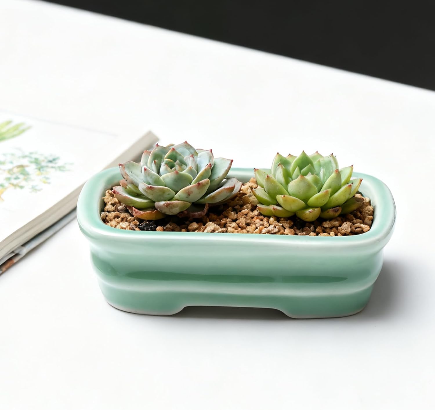 5-Pack Bonsai Pots with Drainage, 5" Shallow Red & White Planters | Glazed ceramic bonsai pot with drainage hole, small