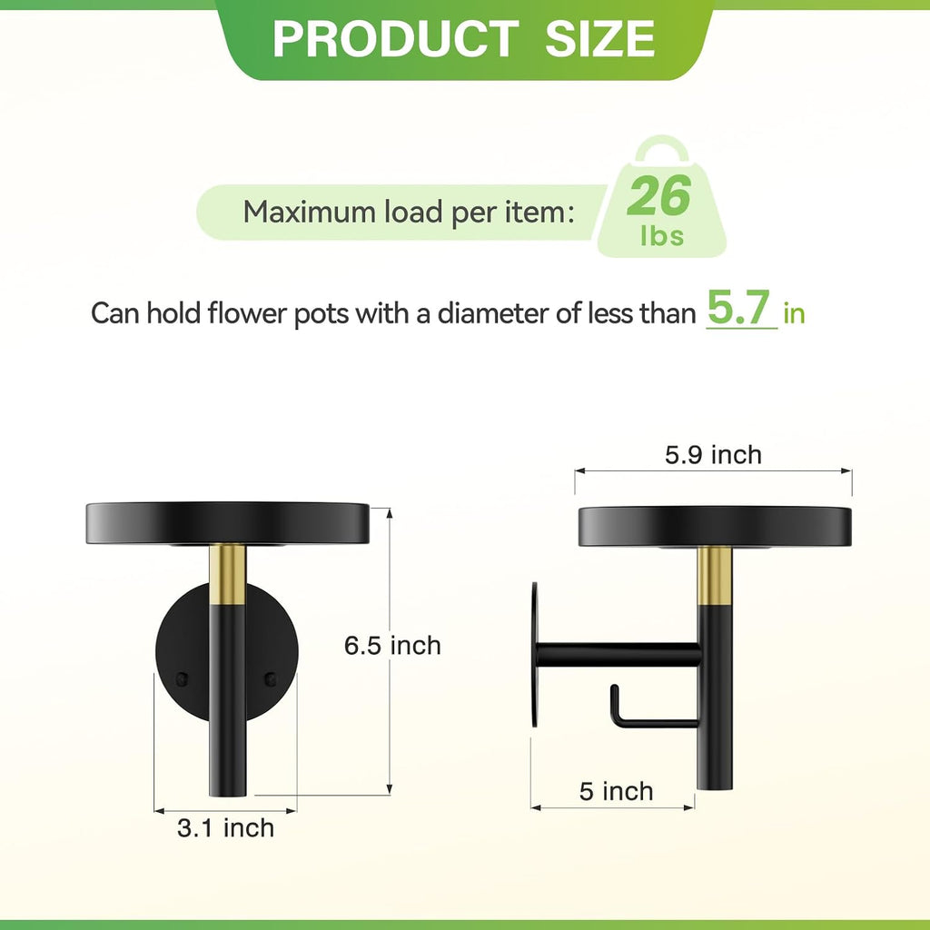DELLAN Wall Plant Holder, 3 Pack Metal Stand, BlackGold | Hanging Shelves, Indoor Plants, Window Sill Decor, Multi-Room