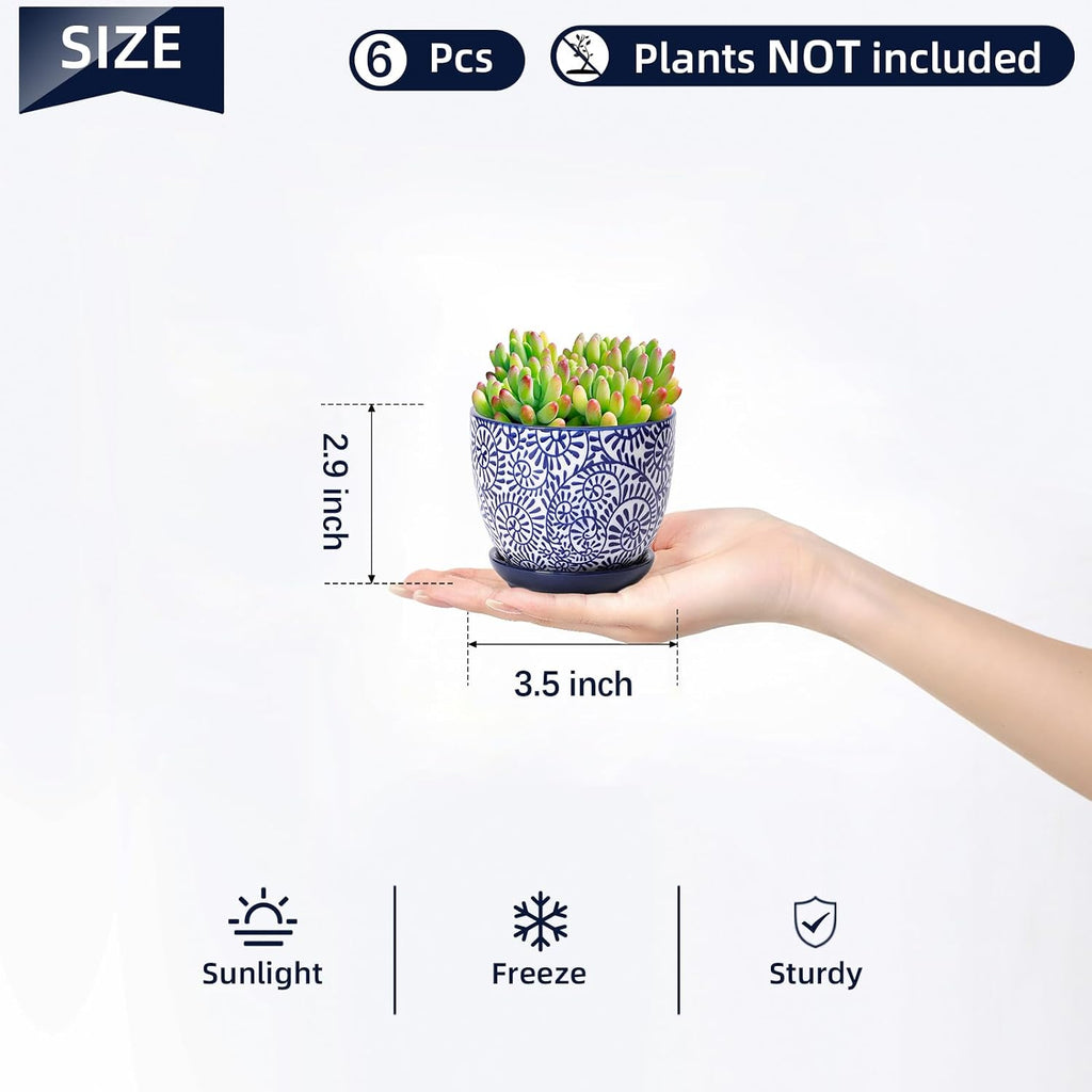 Selamica Ceramic Succulent Pots, 3.5 Inch Small Plant Pots for Indoor Plants Cactus Herbs, Succulent Planters with
