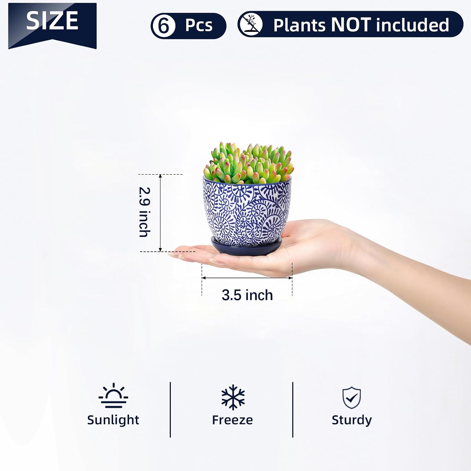 Selamica Ceramic Succulent Pots, 3.5 Inch Small Plant Pots for Indoor Plants Cactus Herbs, Succulent Planters with