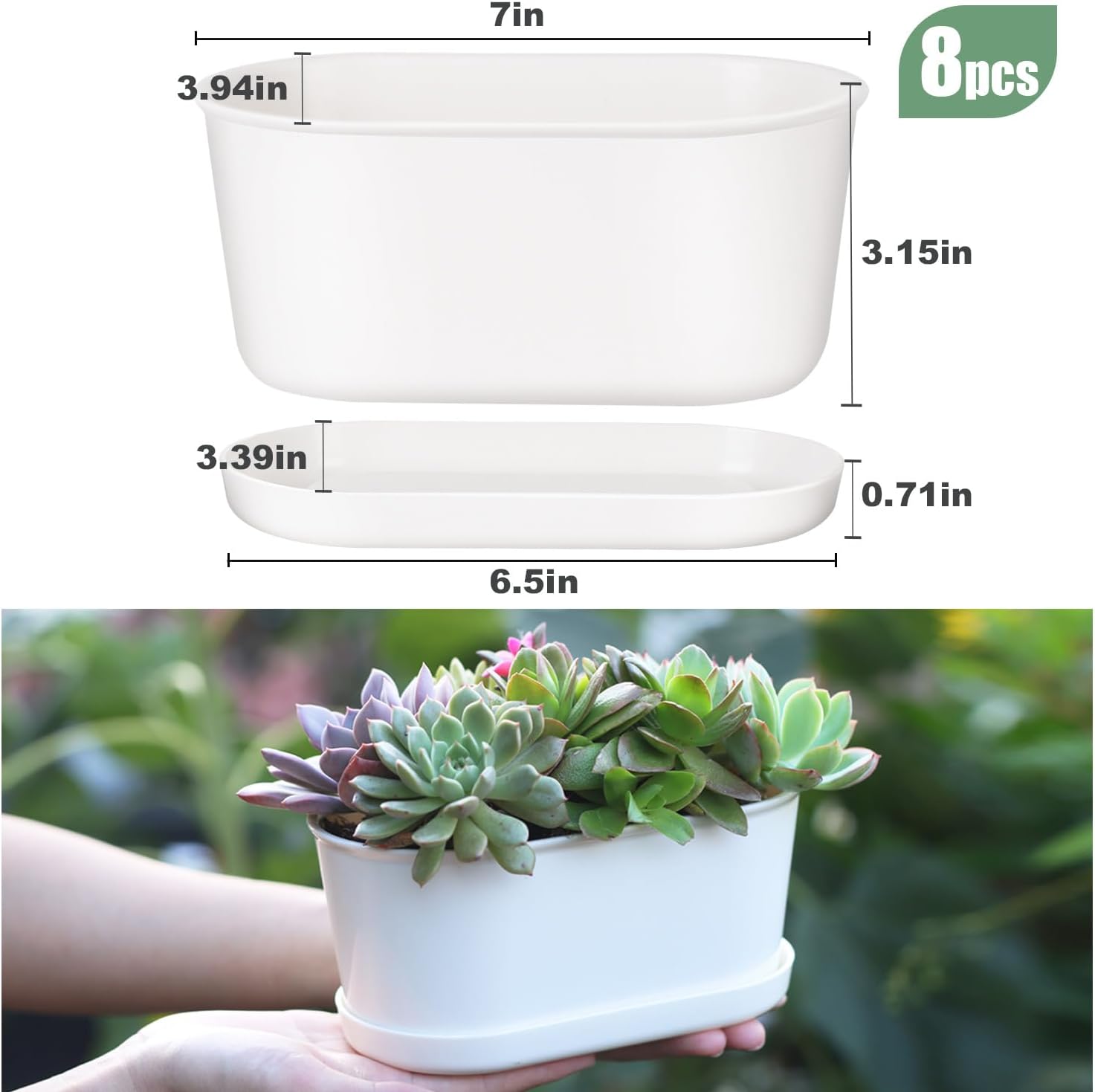 Set of 8 White Oval Window Sill Planters with Drainage Holes and Trays（7 Inch） for Herbs Basil Orchids Succulents